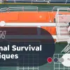 stcw personal survival techniques training