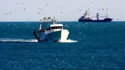 Lessons learnt - Contact with fishing boat